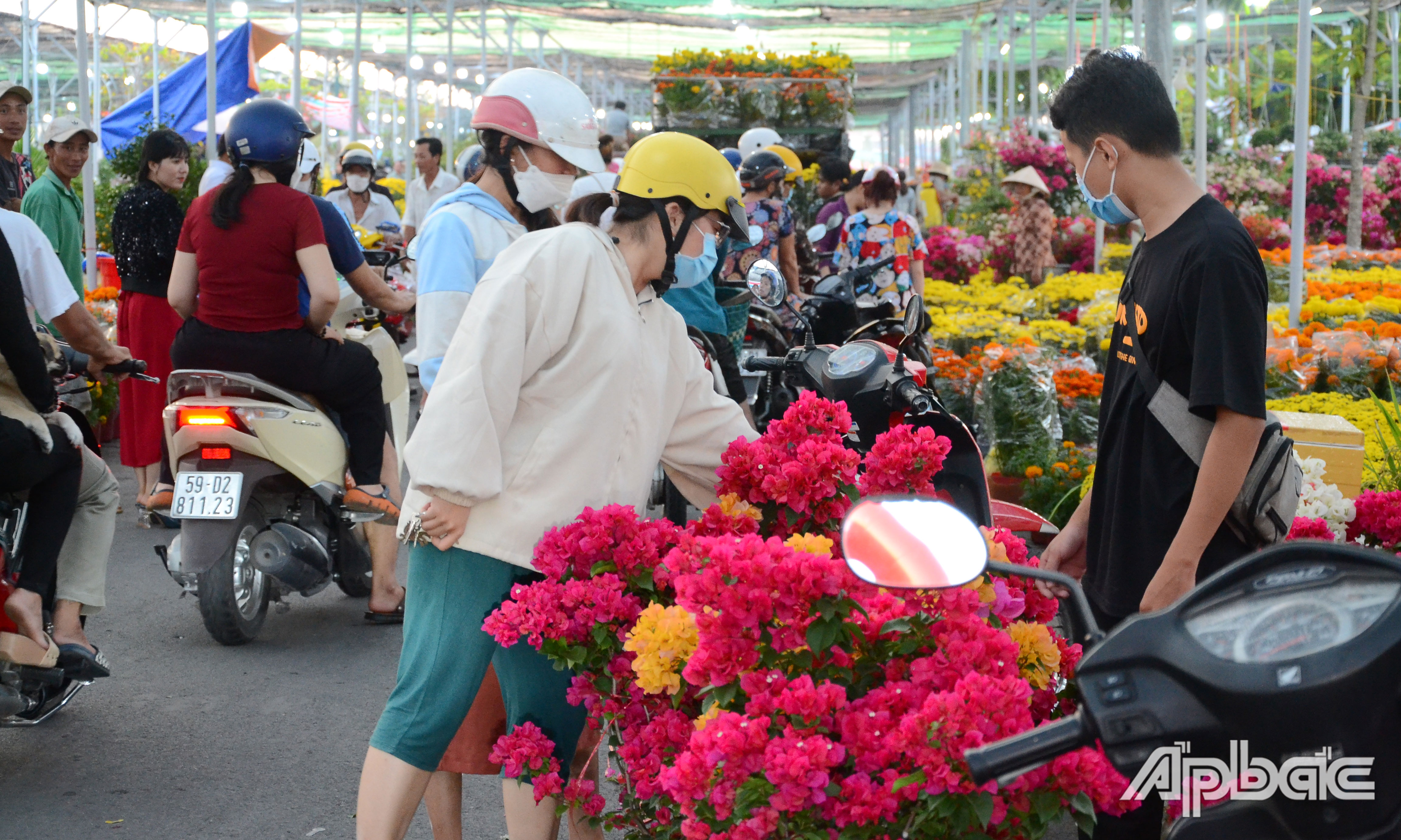 Chợ hoa xuân Mỹ Tho đông đúc hơn.