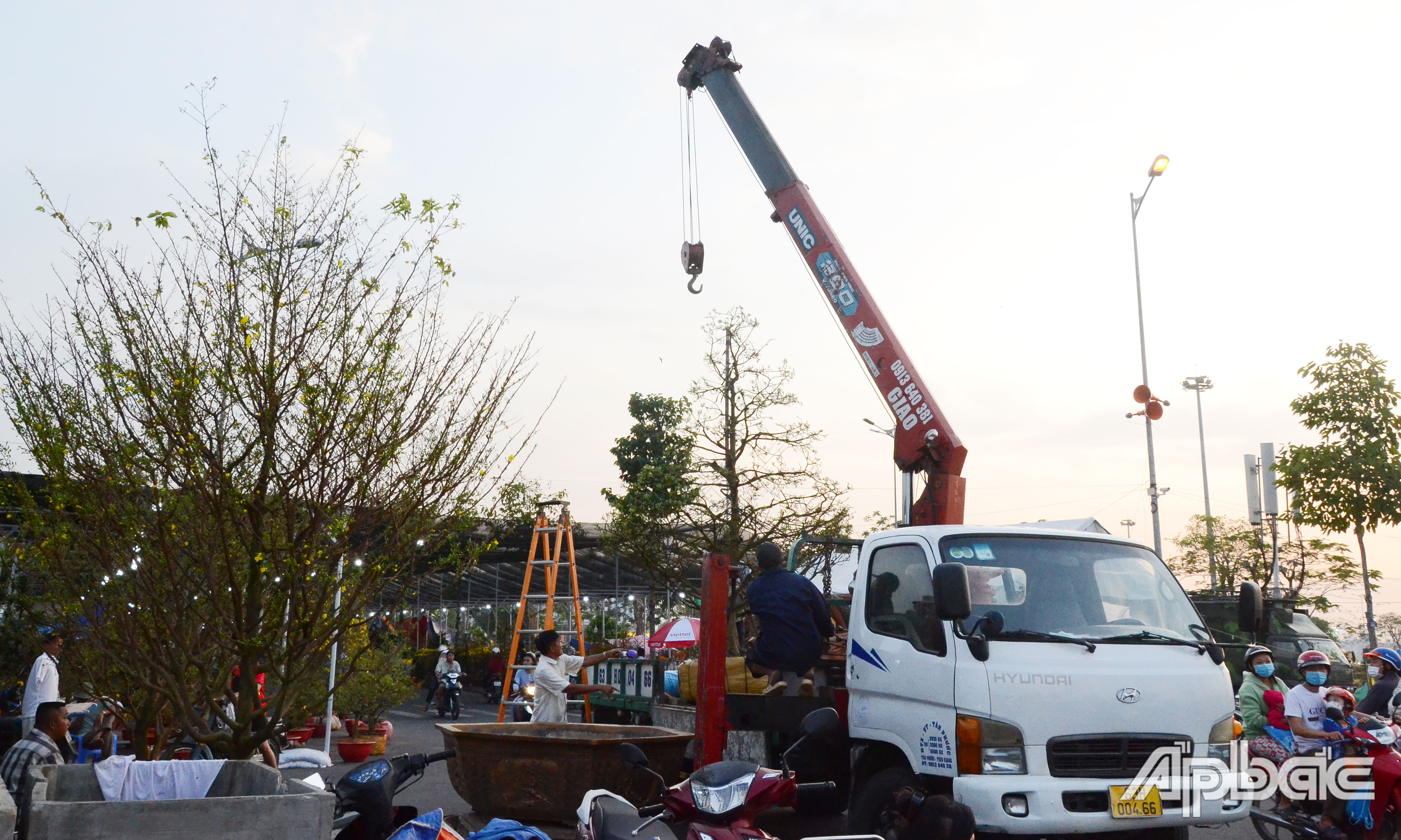 Sức mua hoa, kiểng hiện không bằng những năm trước.