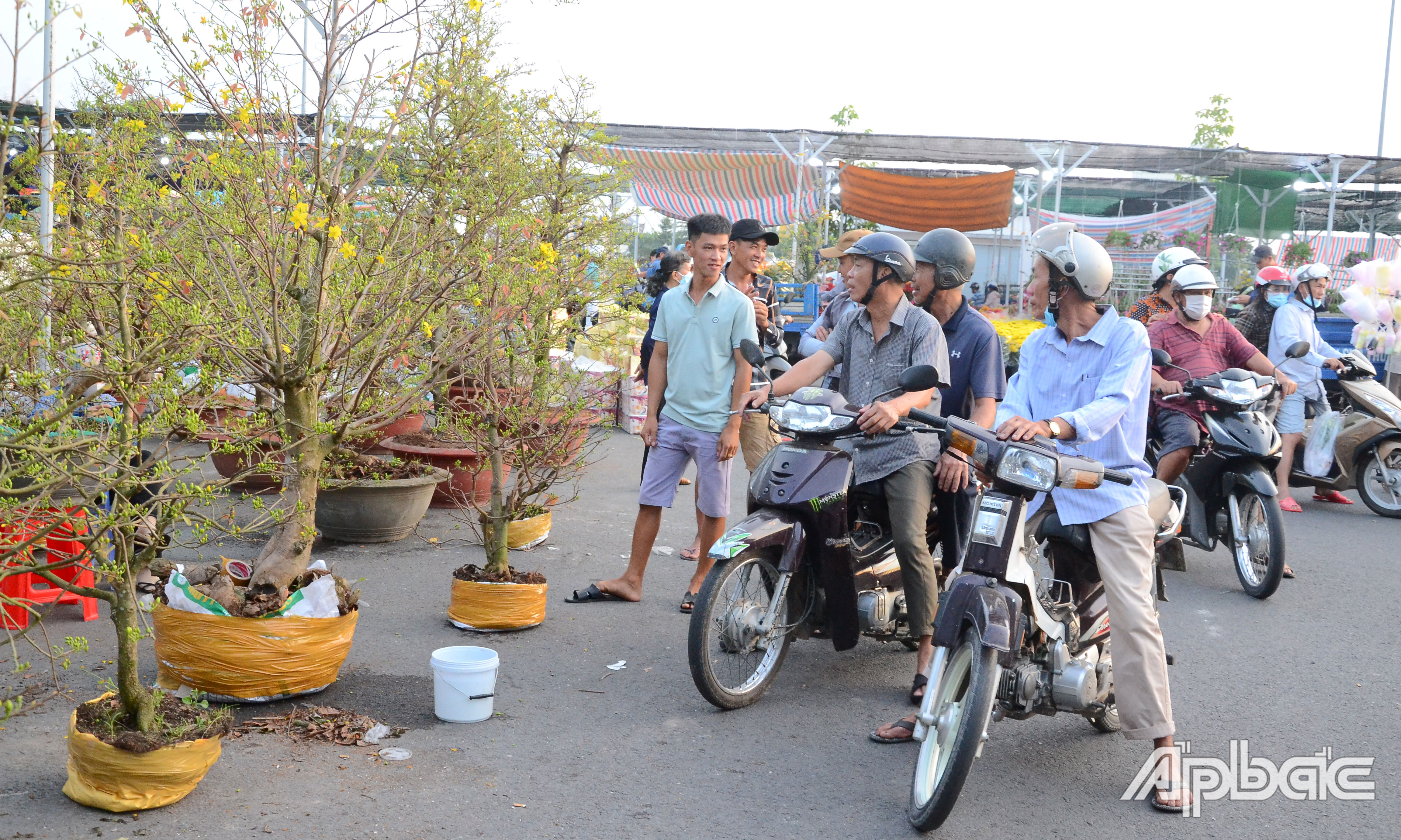 Người dân hỏi mua mai tết.