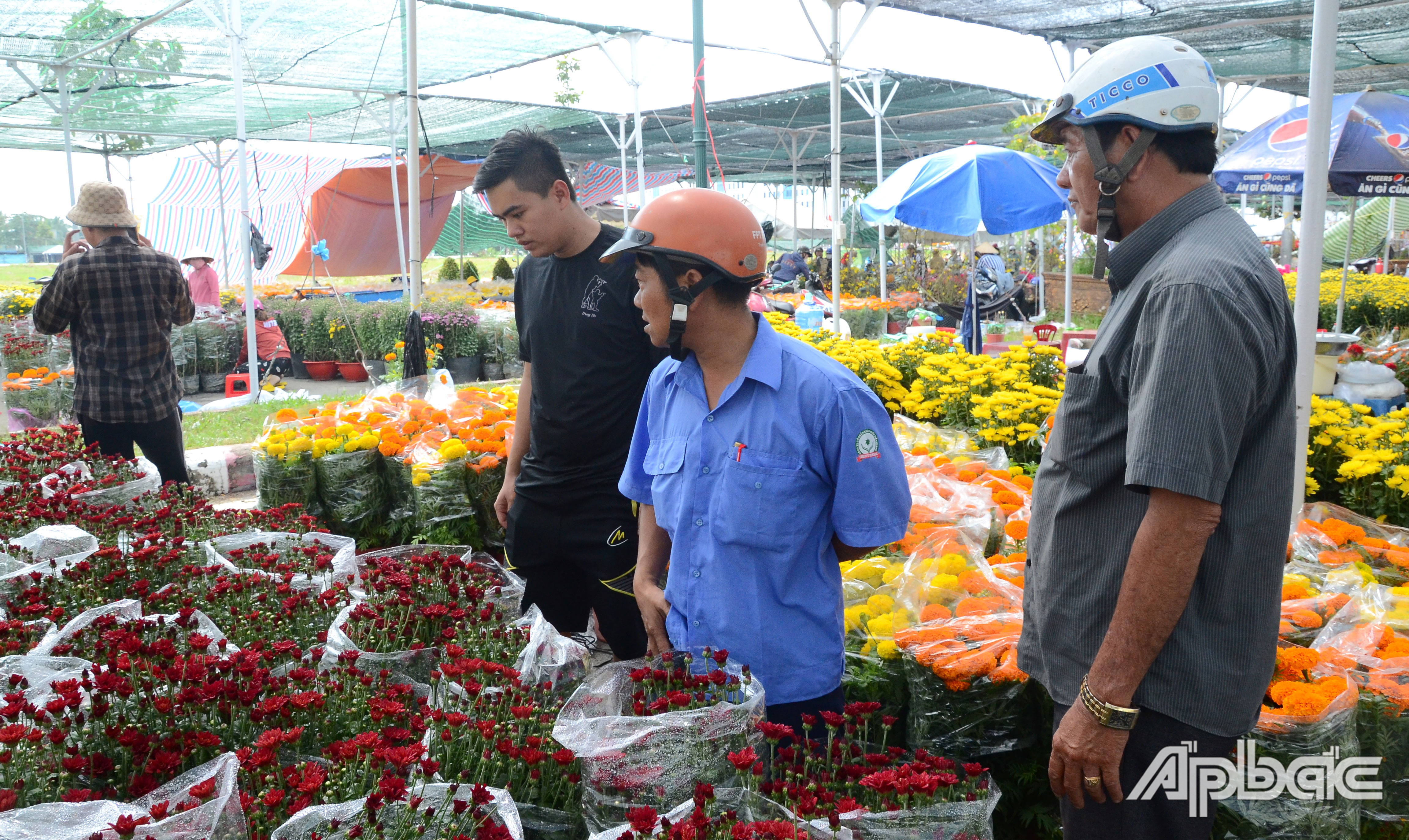 Nhiều tiểu thương buộc phải hạ giá hoa tết để gỡ gạc vốn liếng.