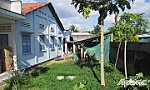 Chăn nuôi gây ô nhiễm môi trường