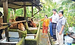 Quỹ Hỗ trợ nông dân - điểm tựa thoát nghèo