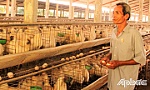Cựu chiến binh làm kinh tế giỏi