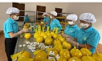 Gỡ khó cho hoạt động xuất khẩu