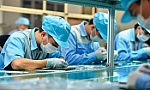 Quý trọng nguồn nhân lực - 'vốn quý' của mỗi doanh nghiệp