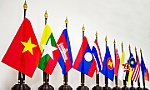 Vietnam to contribute important ideas at 42nd ASEAN Summit: Ambassador