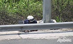 Điều tra đối tượng chặt cáp dây điện trên cao tốc Trung Lương - Mỹ Thuận