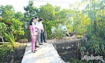 BÀI 2: Hệ lụy từ khai thác cát trái phép