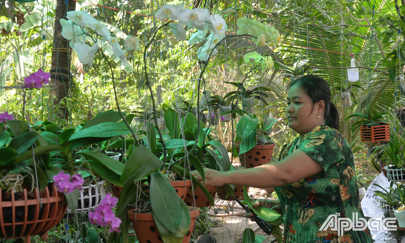 chị Nguyễn Thị Ngọc Trang, ấp Lương Phú B là một trong nhiều phụ nữ của xã đã mạnh dạn vay vốn quyết tâm khởi nghiệp 