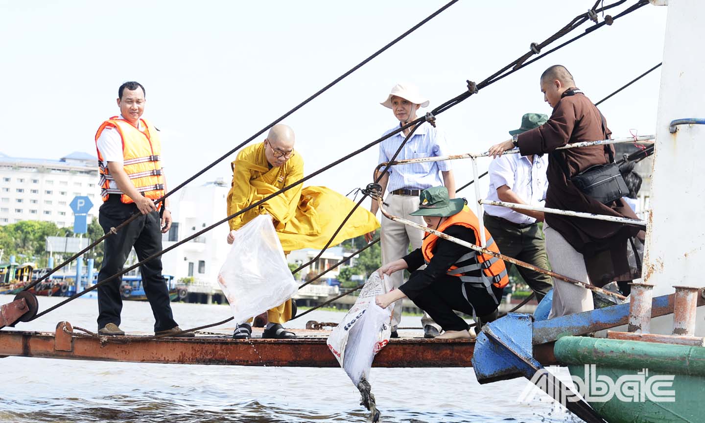 Thả cả trên sông Tiền.