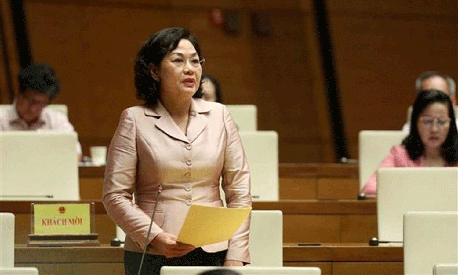 SBV Governor Nguyen Thi Hong (Photo: VNA).