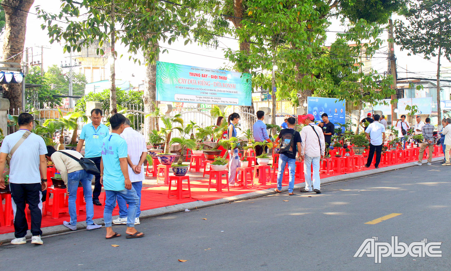 Quang cảnh