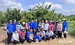 Sinh viên Trường Đại học Tiền Giang: Xung kích tình nguyện vì cộng đồng