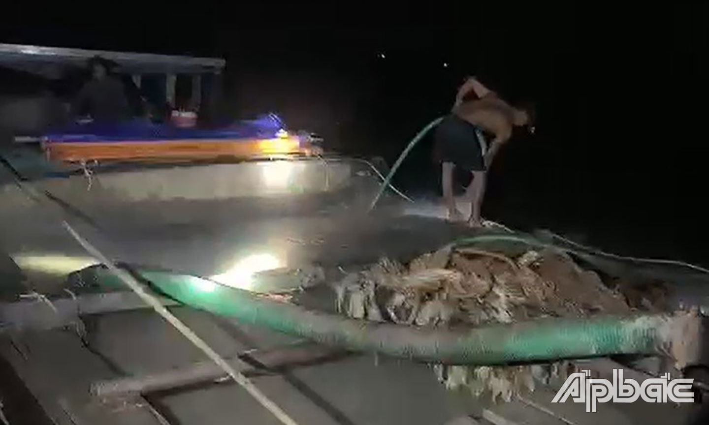 Phương tiện bị bắt.