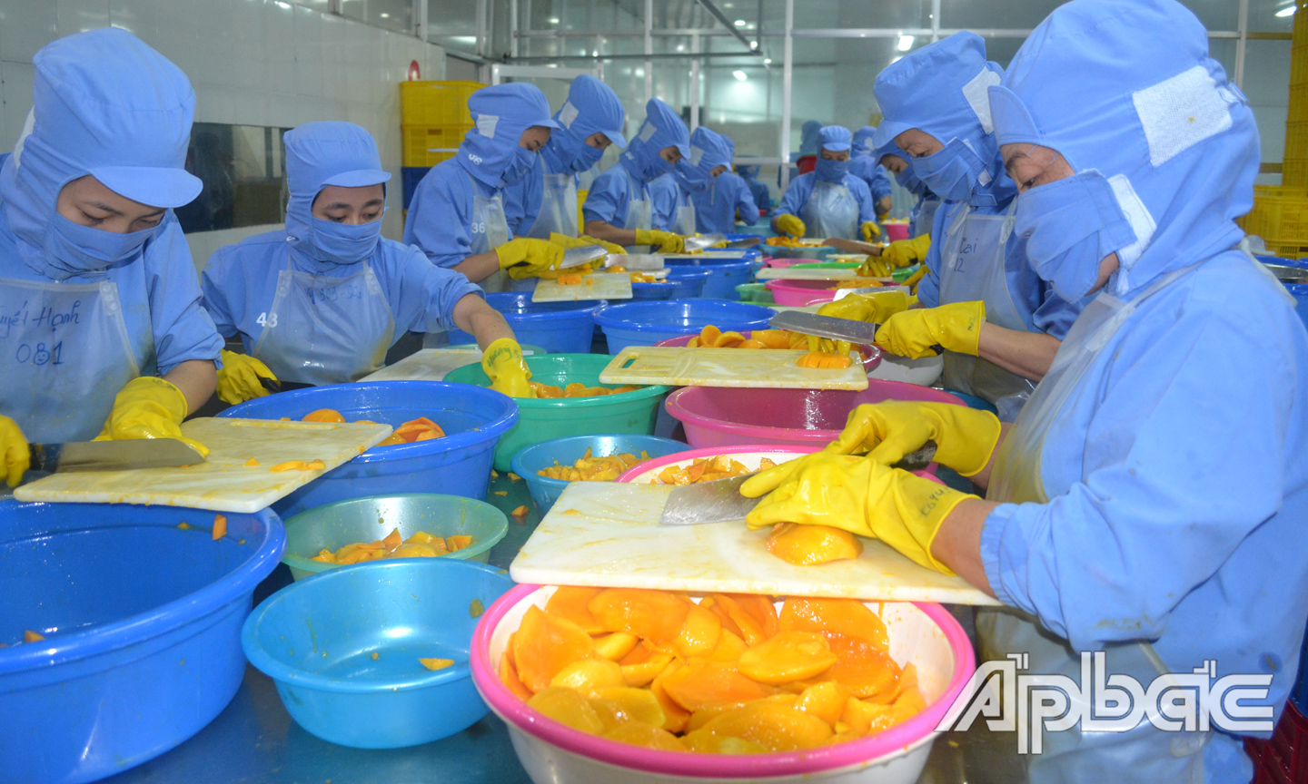 Tiền Giang chú trọng ứng dụng công nghệ vào chế biến nông sản.