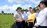 Prime Minister visits agricultural production facilities in Dong Thap