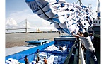 Diễn biến giá gạo và những lưu ý với doanh nghiệp trước biến động thị trường