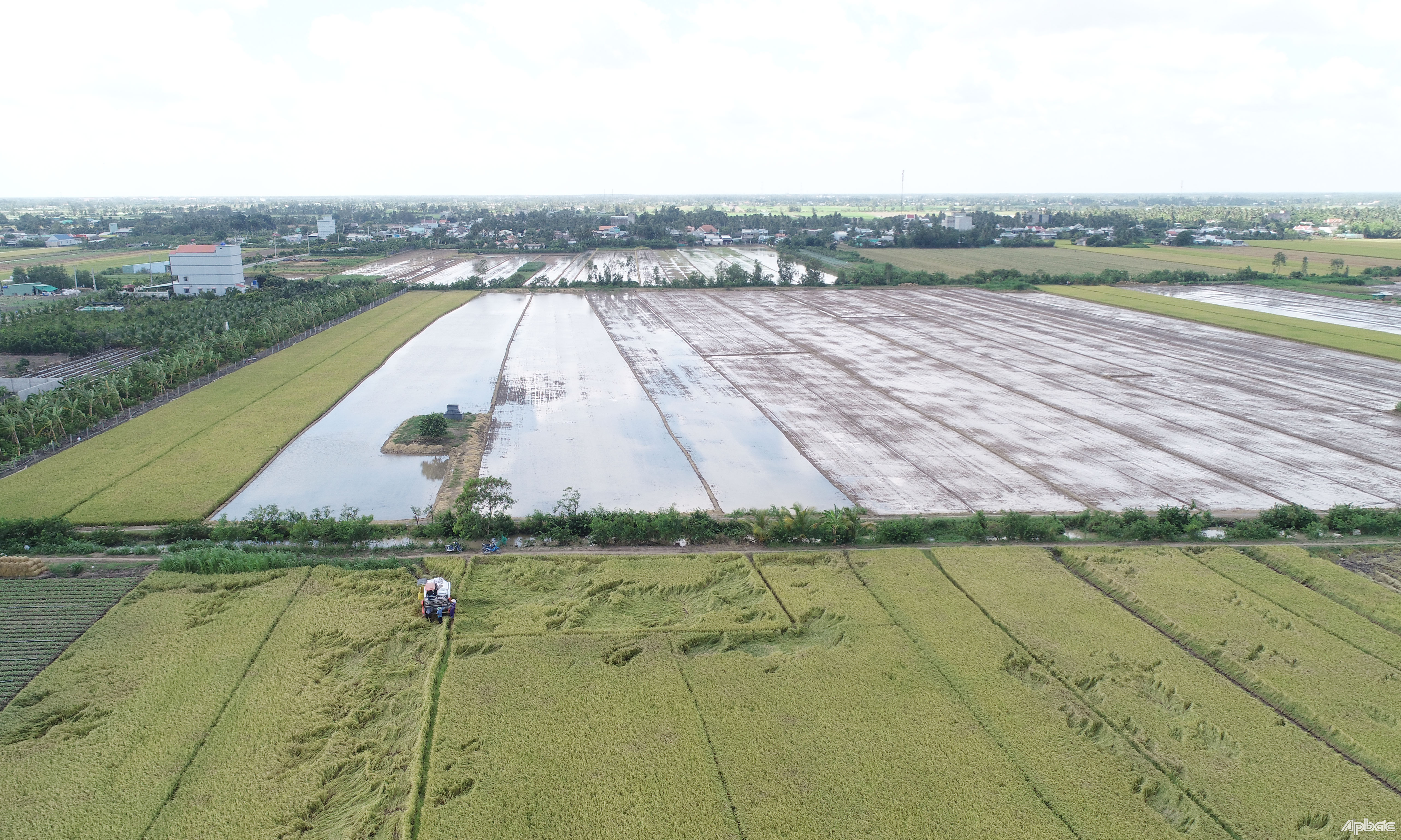 Ngay sau khi thu hoạch vụ lúa thu đông, người dân canh tác lúa cặp tuyến đường tỉnh 872B đã khẩn trương cày xới đất để gieo sạ vụ lúa thu đông.