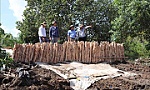Gần 240 tỷ đồng khắc phục sạt lở cù lao hạ lưu sông Tiền