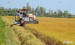 Nâng cao vai trò, vị thế và năng lực làm chủ của nông dân