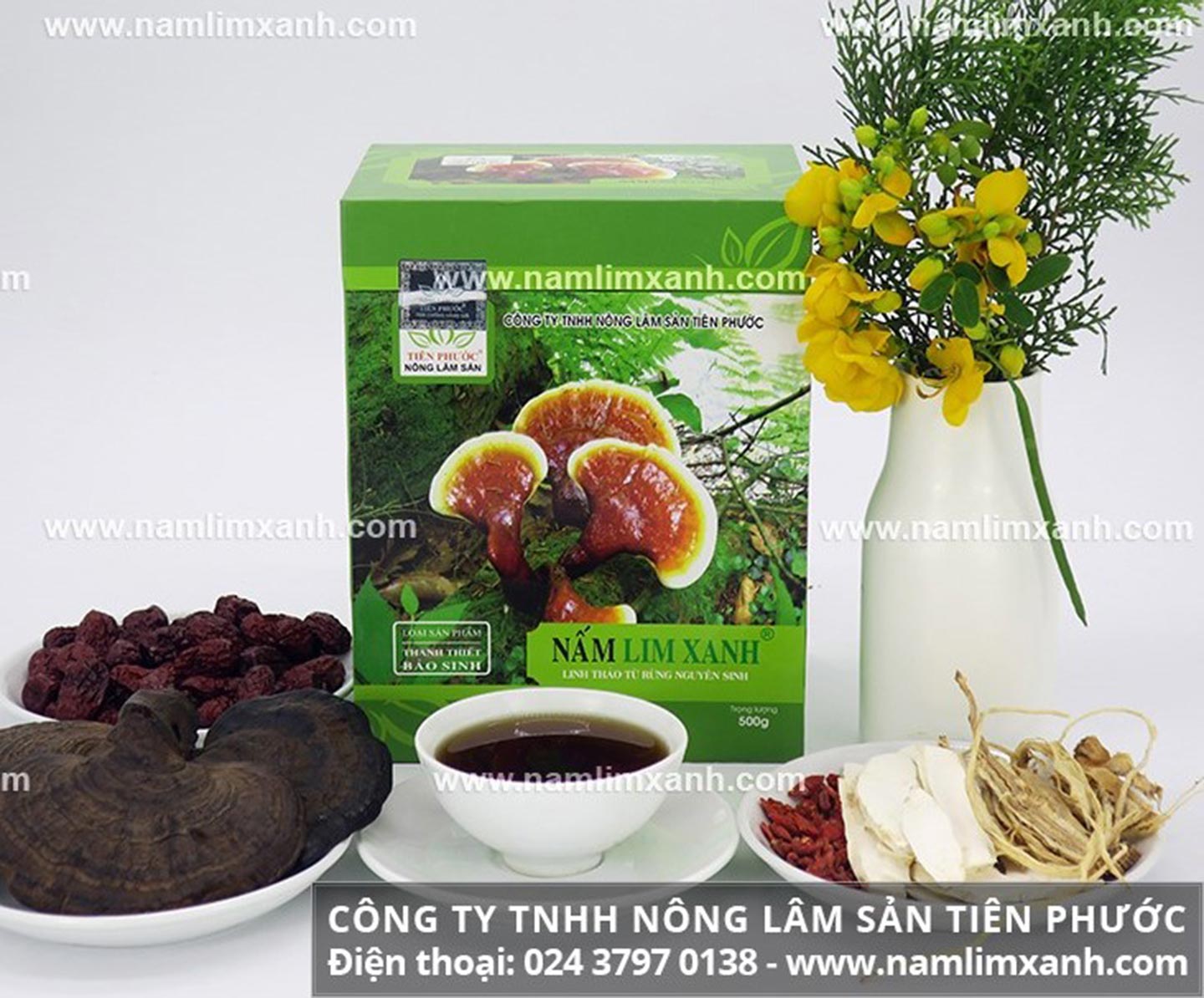 Nấm lim xanh Thanh Thiết Bảo Sinh sử dụng chống ung thư.