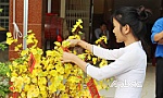 Không khí tết đã lan tỏa đến các trường