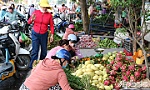 Rằm tháng Giêng: Trái cây, hoa tươi đắt hàng