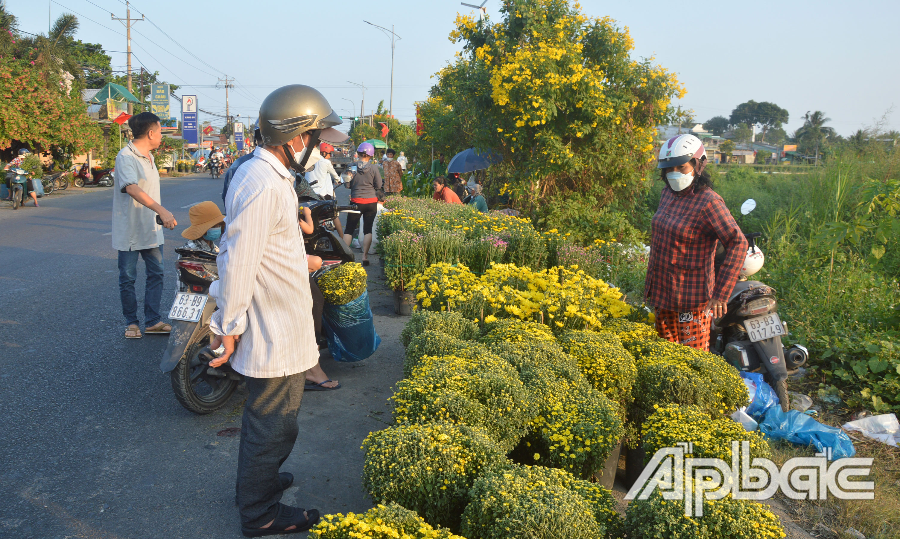 Dọc theo Quốc lộ 50 nhộn nhịp người mua bán hoa.