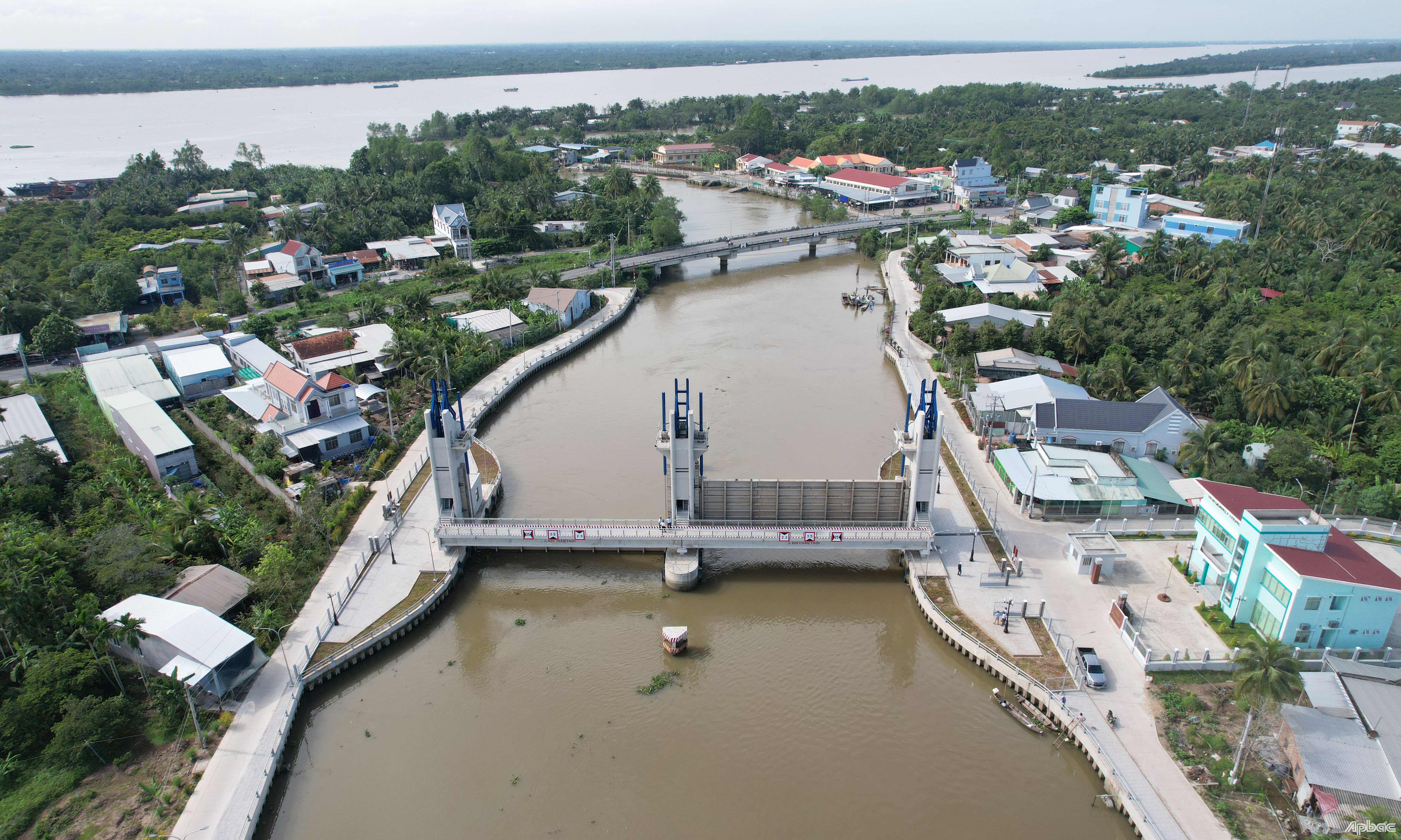 Mặn đã xâm nhập tới khu vực cầu Phú Phong.