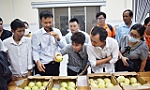 Viện Cây ăn quả miền Nam: Ra mắt Phòng Thí nghiệm công nghệ sau thu hoạch