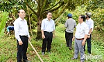 Chủ động phòng ngừa, ứng phó với thiên tai trong mùa mưa bão