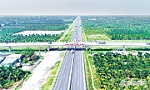 TX. Cai Lậy: Chú trọng chuyển đổi cơ cấu cây trồng trên nền đất lúa
