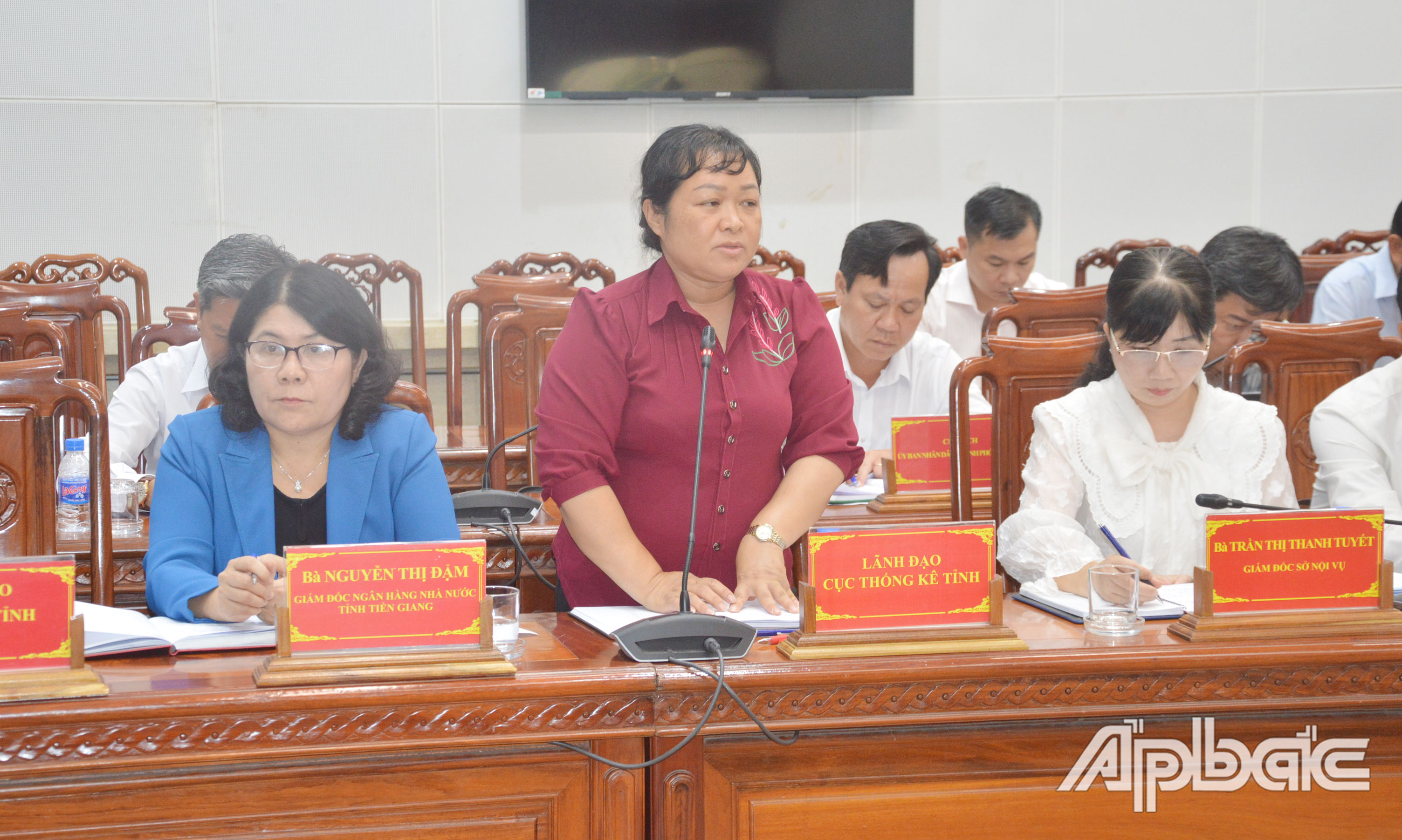 Lãnh đạo Cục Thống kê phát biểu tại phiên họp.