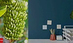 Kiếm 7 tỷ đồng mỗi tháng nhờ bán chuối xanh 