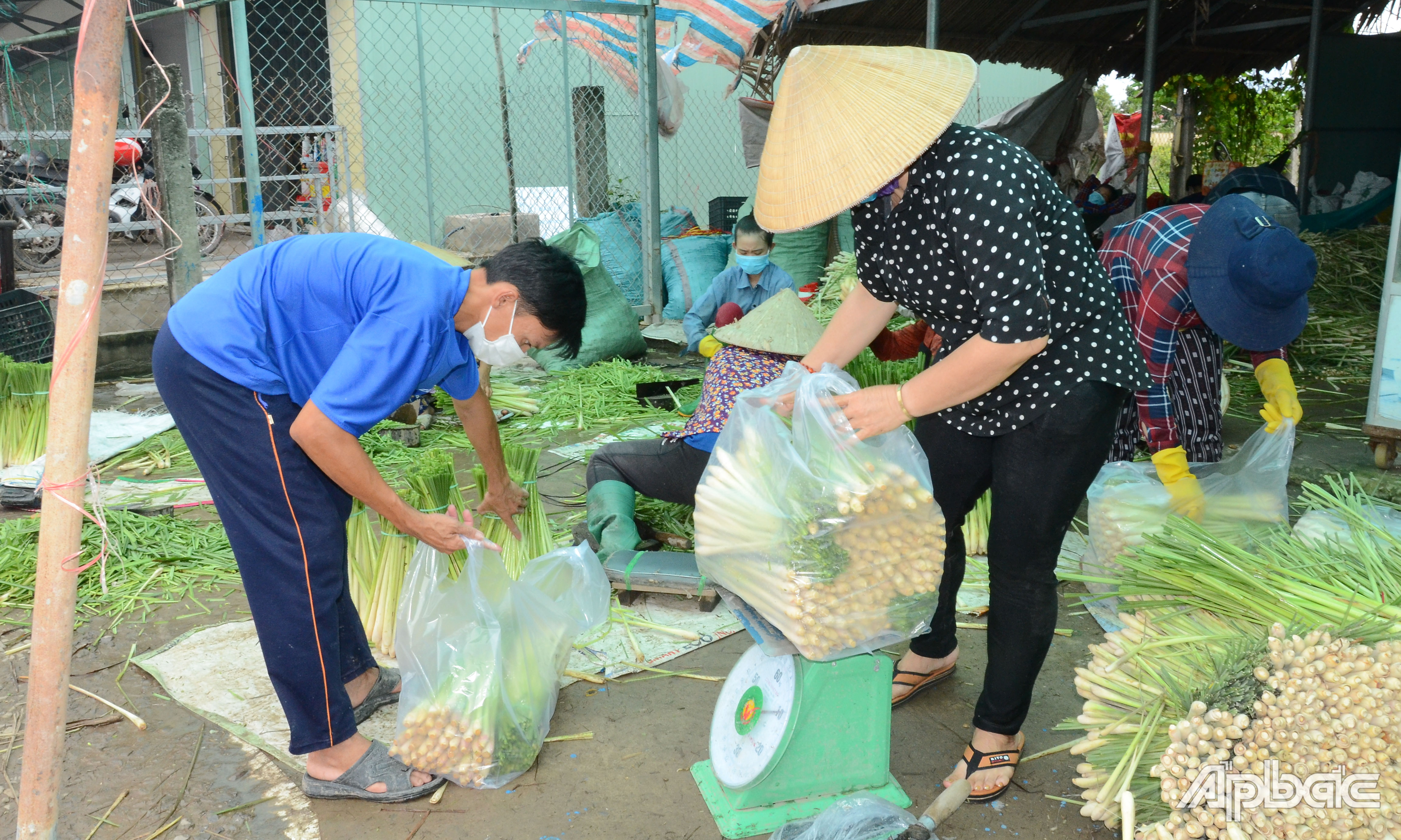 Những năm qua, huyện Tân Phú Đông luôn hoàn thành tốt công tác thu NSNN.