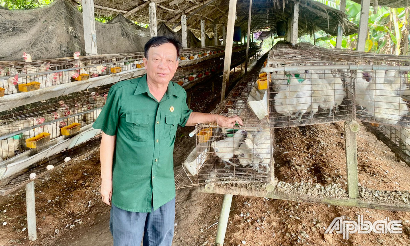 Ông Phong bên trại nuôi gà ri của gia đình.