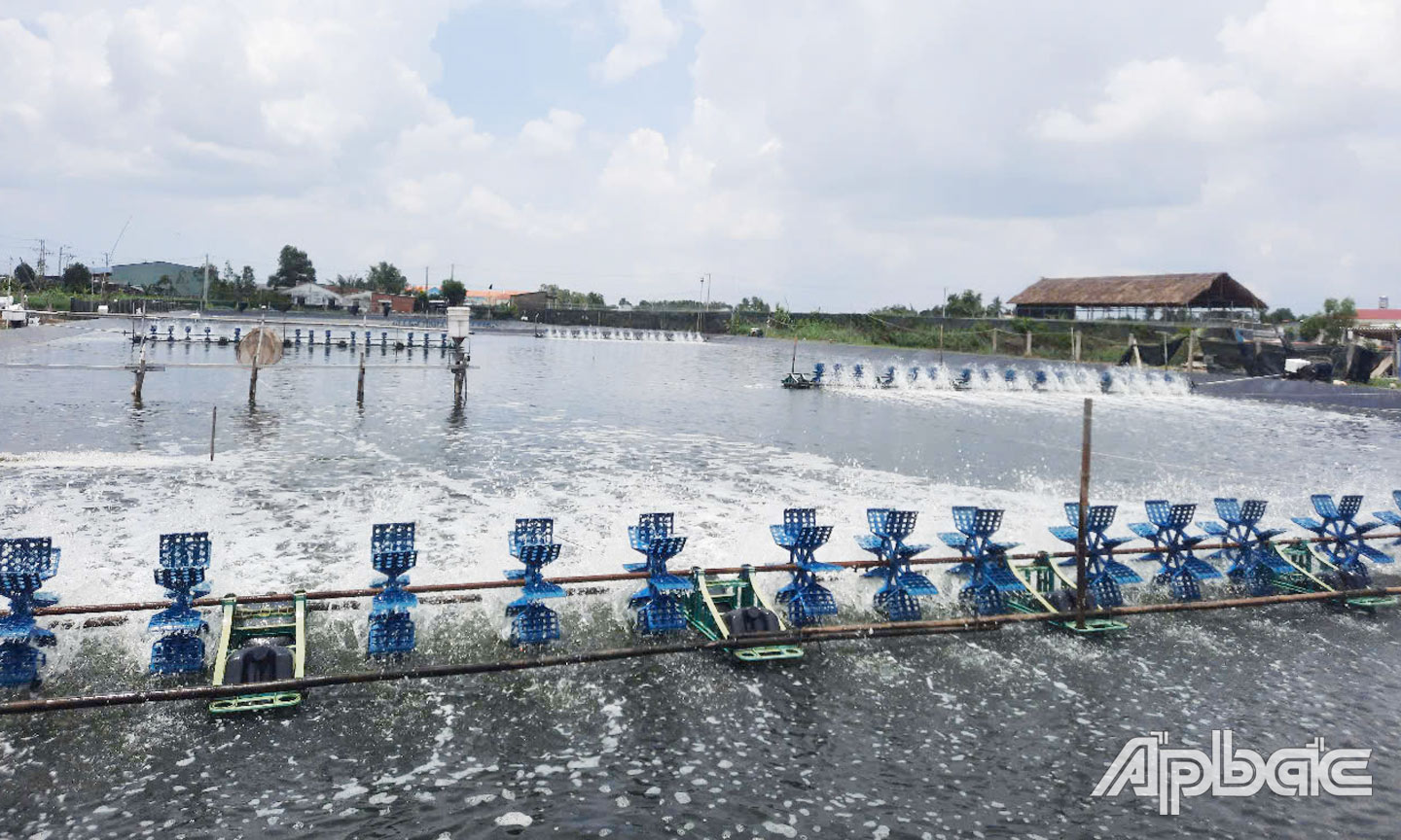 Nuôi thủy sản là một trong những thế mạnh mà huyện Tân Phú Đông quan tâm phát huy để phát triển kinh tế.