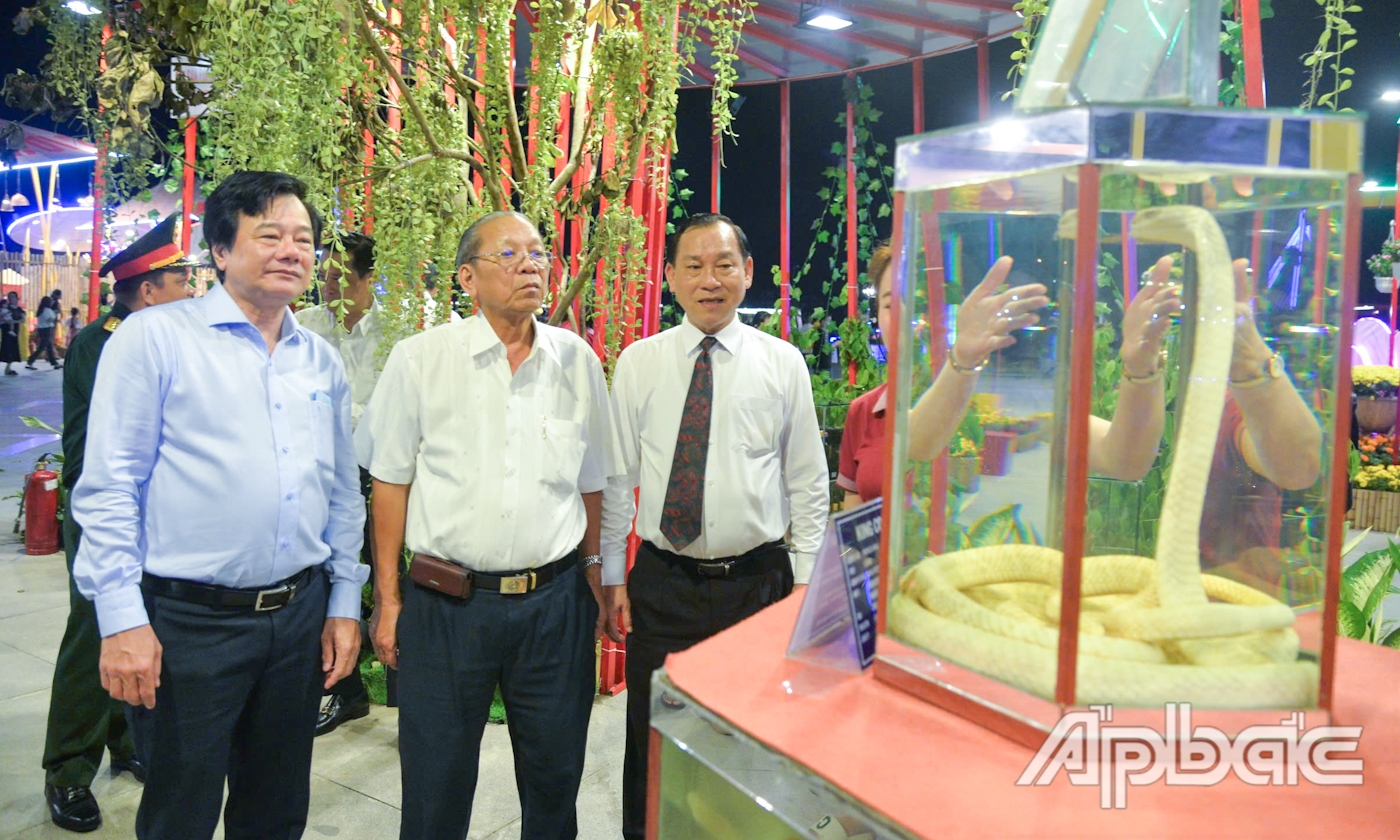 Lãnh đạo tỉnh tham quan rắn và tiêu bản rắn được trưng bày tại Đường hoa Xuân Ất Tỵ 2025, tại Quảng trường Hùng Vương.