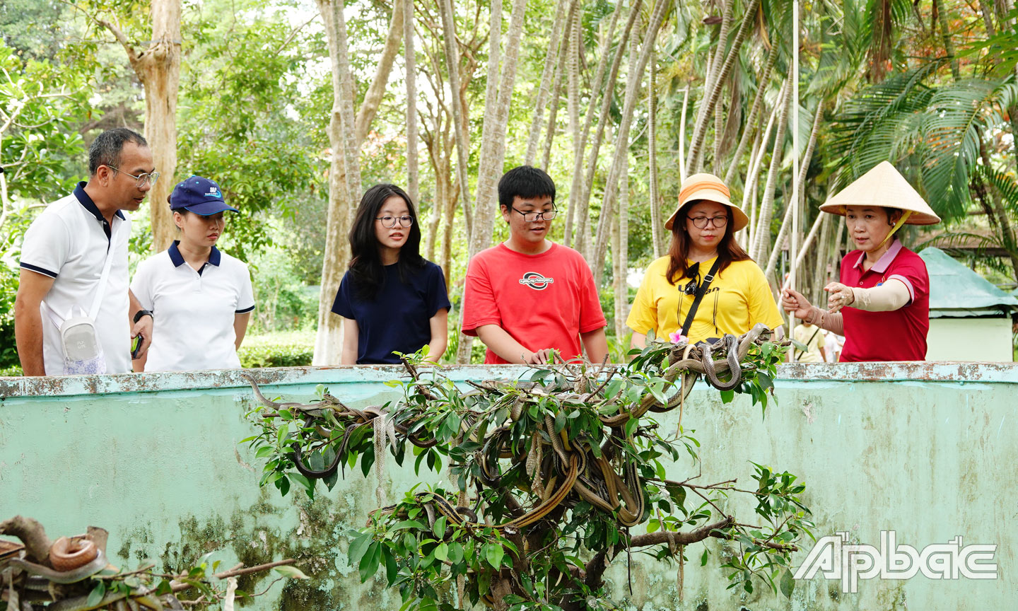 Khi du khách đến với Trại rắn Đồng Tâm sẽ được tìm hiểu về đời sống sinh  lý, sinh thái của các loài rắn.  Ảnh: HOÀI LÂM