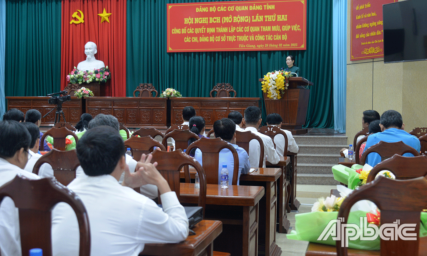 Đồng chí Nguyễn Hải Trâm, Phó Bí thư Thường trực Tỉnh uỷ, Bí thư Đảng uỷ các cơ quan Đảng tỉnh phát biểu tại hội nghị.
