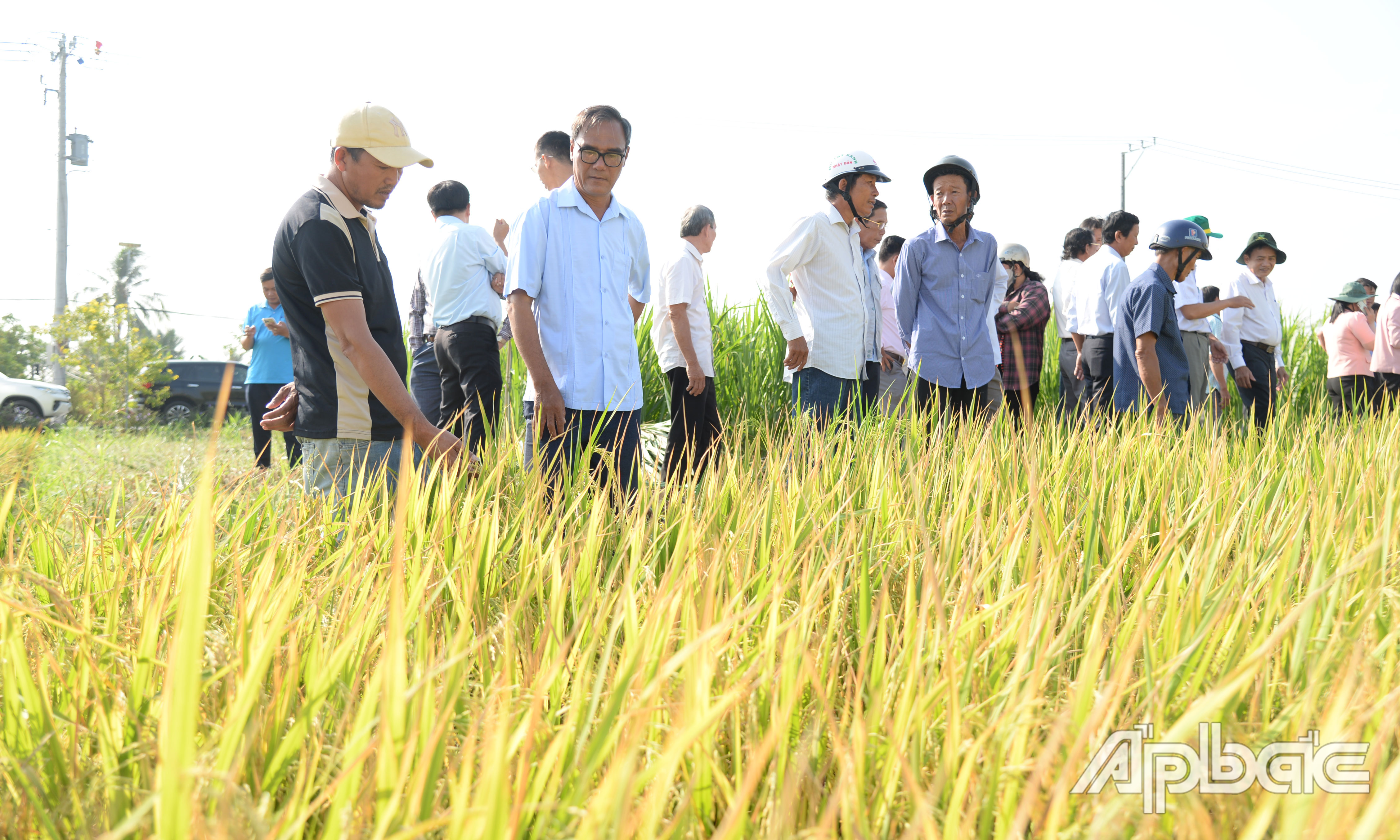 Các đại biểu tham quan mô hình trình diễn.