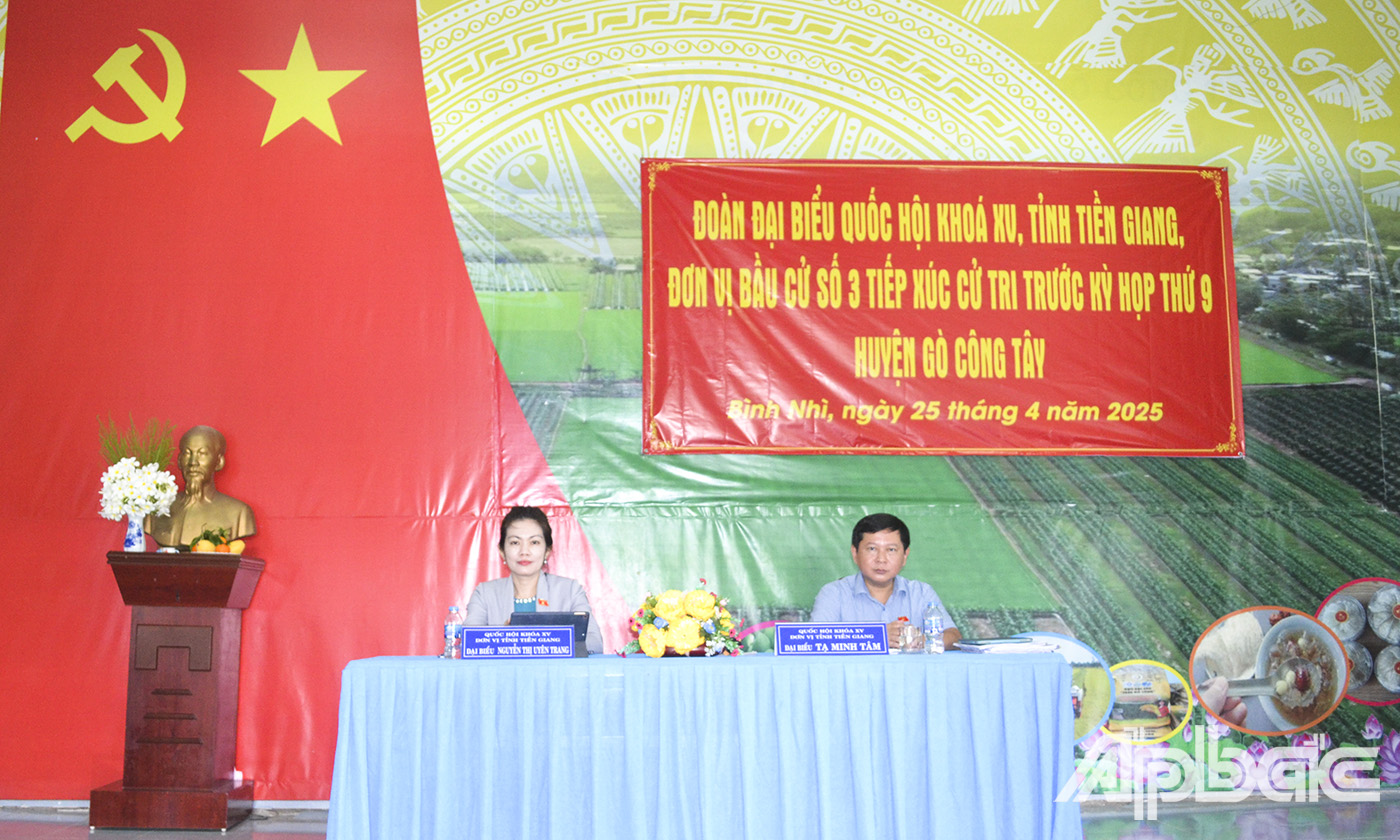 ĐBQH tỉnh lắng nghe và ghi nhận ý kiến cử tri.