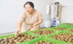 Người tiên phong đưa món ăn dân dã trở thành đặc sản