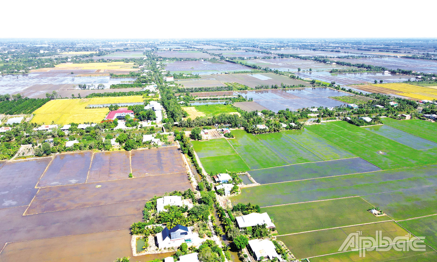 Tiền Giang: Chuyển mình qua xây dựng nông thôn mới