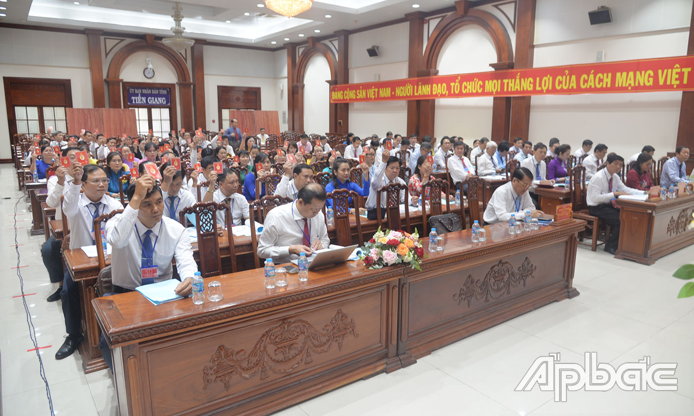 Đại biểu biểu quyết tại Đại hội.