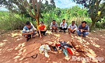 Triệt phá các tụ điểm đánh bạc trong những ngày đầu cao điểm tấn công tội phạm