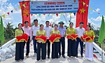 Tỉnh đoàn Đồng Tháp: Sôi nổi hoạt động chào mừng Đại hội Đảng các cấp