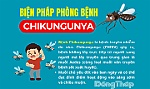 [Infographic] Biện pháp phòng bệnh Chikungunya