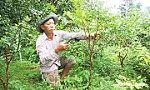 Xã Tân Dương: Phát huy tiềm năng, khẳng định vị thế mới