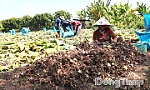 Xã Mỹ An Hưng: Tư duy mới, động lực mới